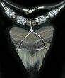 Juvenile Megalodon Tooth Necklace #27063-1